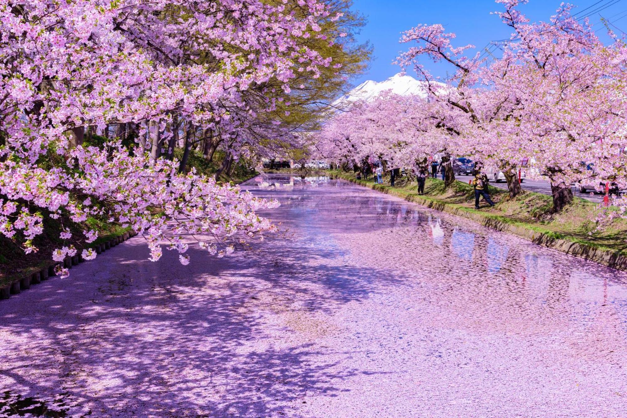 Ryumontei Chiba Ryokan Kazuno ภายนอก รูปภาพ